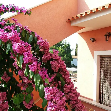 Apartament Jolanda-2 *